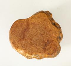 Organic Burl Coffee Table - 4044158