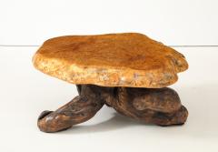 Organic Burl Coffee Table - 4044159