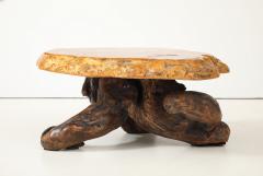 Organic Burl Coffee Table - 4044161