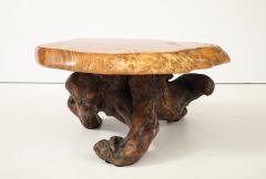 Organic Burl Coffee Table - 4044162