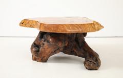 Organic Burl Coffee Table - 4044163