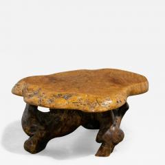 Organic Burl Coffee Table - 4048067