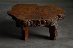 Organic Burl Wood Coffee Table France 1950s - 4452111