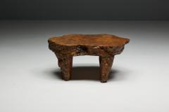 Organic Burl Wood Coffee Table France 1950s - 4452150