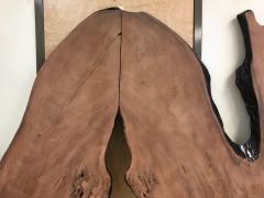 Organic Free Edge Headboard - 438516