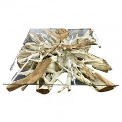 Organic Modern Bleeched Teak Root Coffee Table With Glass Plate IDN 2024 - 4467350