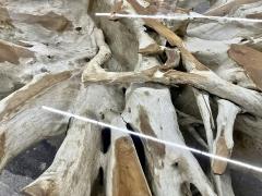 Organic Modern Bleeched Teak Root Coffee Table With Glass Plate IDN 2024 - 4467351