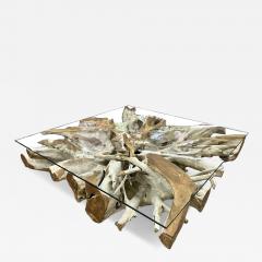 Organic Modern Bleeched Teak Root Coffee Table With Glass Plate IDN 2024 - 4467445