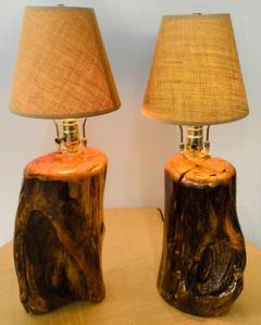 Organic Modern Design Maple Wood Table Lamps a Pair - 2867229