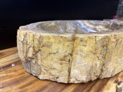 Organic Modern Petrified Wood Sink Grey Brown Beige polished IDN 2024 - 4039693