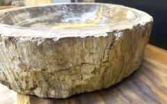 Organic Modern Petrified Wood Sink Grey Brown Beige polished IDN 2024 - 4039696