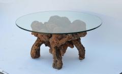 Organic Modern Quadripod Bog Wood and Glass Coffee Table - 874596