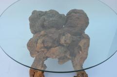 Organic Modern Quadripod Bog Wood and Glass Coffee Table - 874599