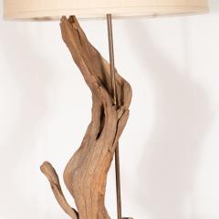 Organic Modern Sculptural Driftwood Table Lamp with Handrubbed Walnut Base - 1483979