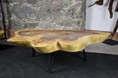 Organic Modern Suar Tree Coffee Table on Black Metal Feet - 3693874