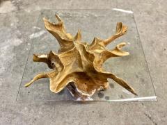 Organic Modern Teak Root Coffee Table With Safety Glass Top IDN 2025 - 4636955