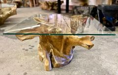 Organic Modern Teak Root Coffee Table With Safety Glass Top IDN 2025 - 4636963