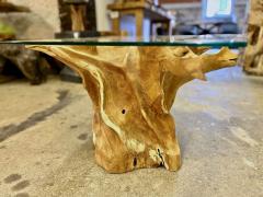 Organic Modern Teak Root Coffee Table With Safety Glass Top IDN 2025 - 4636964