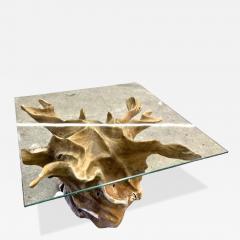 Organic Modern Teak Root Coffee Table With Safety Glass Top IDN 2025 - 4640663