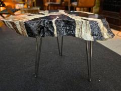 Organic Modern Teak Wood Side Table Handpainted Petrified Wood Style 2025 - 4739452