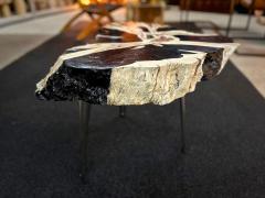 Organic Modern Teak Wood Side Table Handpainted Petrified Wood Style 2025 - 4739456