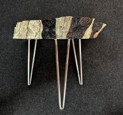 Organic Modern Teak Wood Side Table Handpainted Petrified Wood Style 2025 - 4739458