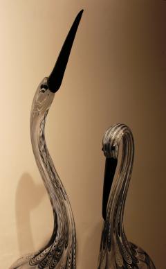 Oscar Zanetti Herons - 662317