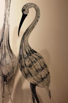 Oscar Zanetti Herons - 662324