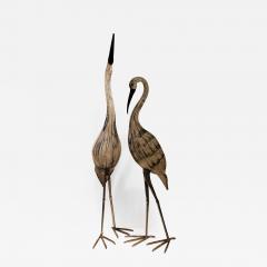 Oscar Zanetti Herons - 662991