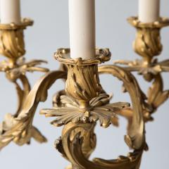 PAIR OF LOUIS XV STYLE ROCOCO CANDELABRA CONVERTED TO LAMPS Circa 1860 - 763770