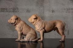 PAIR OF TERRACOTTA BULLDOGS - 1018427