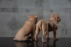 PAIR OF TERRACOTTA BULLDOGS - 1018428