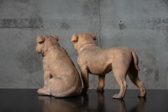 PAIR OF TERRACOTTA BULLDOGS - 1018429