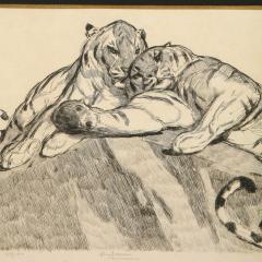 PAUL JOUVE Paul Jouve Tigers au repose Tigers resting Circa 1930 - 2093042