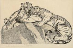 PAUL JOUVE Paul Jouve Tigers au repose Tigers resting Circa 1930 - 4659903