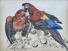 PAUL JOUVE Stunning Painting on Paper Two Parrots by Paul Jouve France Art Deco 1930s - 3280892