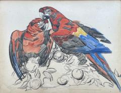 PAUL JOUVE Stunning Painting on Paper Two Parrots by Paul Jouve France Art Deco 1930s - 3281065