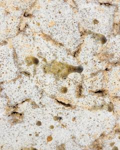 PAUL PHILP Large Stoneware Relief 2005 - 4743478