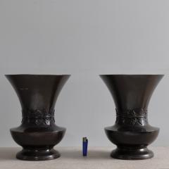 PAir o 1900s Patinate Bronze Vases Cgina - 4078675
