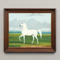 PORTRAIT OF A WHITE HORSE - 2977905