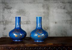 POWDER BLUE CHINESE VASES - 691192