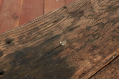 PRIMITIVE WOOD BENCH - 3650717