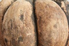 PRIMITIVE WOOD MOLD - 3165130