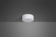 Paavo Tynell Paavo Tynell Model 2033 Ceiling Light for Taito Finland 1930s - 4311540