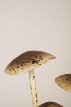 Painted French Tole Mushroom Decoration - 4180670