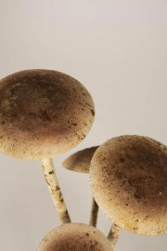 Painted French Tole Mushroom Decoration - 4181032