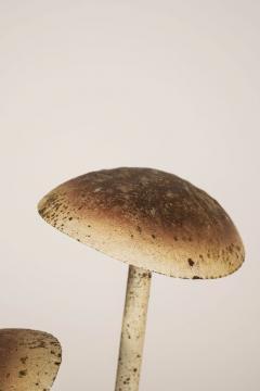 Painted French Tole Mushroom Decoration - 4181700