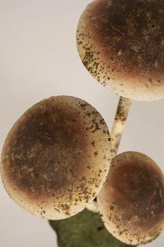 Painted French Tole Mushroom Decoration - 4181702