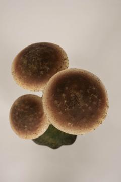 Painted French Tole Mushroom Decoration - 4181964