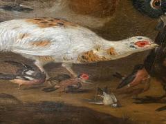 Painting of Birds Attributed to Marmaduke Craddock - 4130213